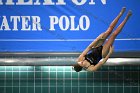 Diving vs USCGA  Wheaton College Swimming & Diving vs US Coast Guard Academy. - Photo By: KEITH NORDSTROM : Wheaton, Swimming, Diving